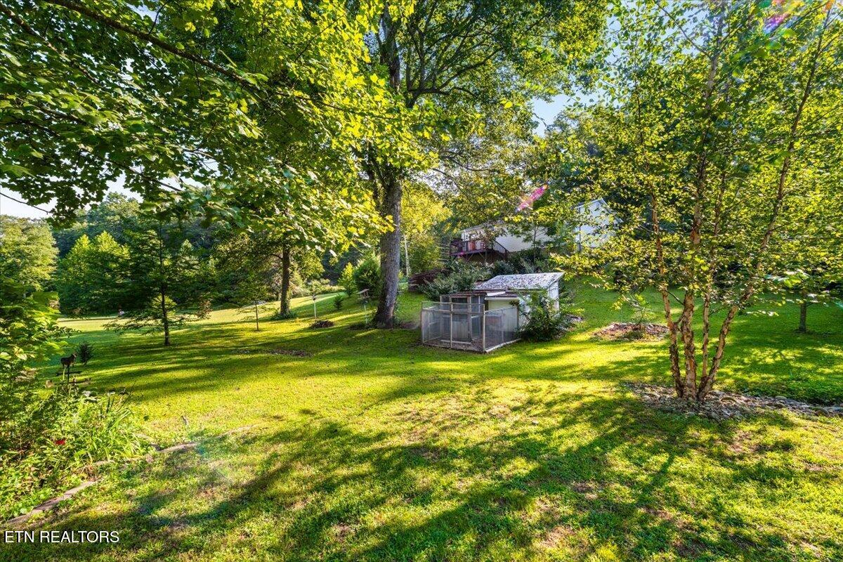 124 Mac Ivey Lane, LaFollette