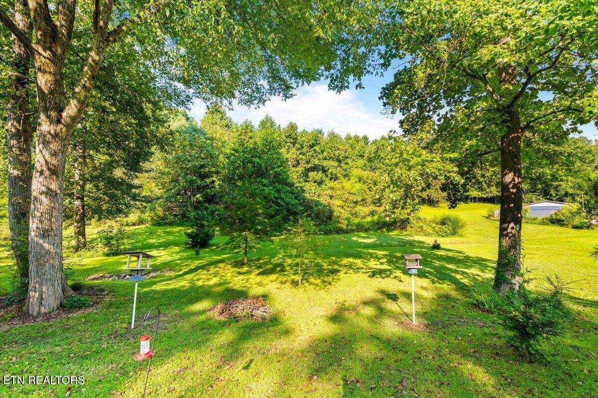 124 Mac Ivey Lane, LaFollette