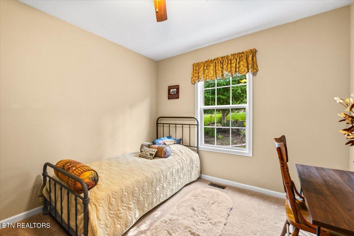 124 Mac Ivey Lane, LaFollette