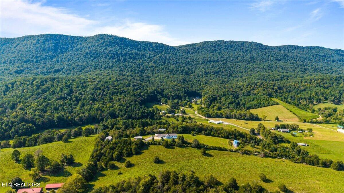 289 Carr Gap Rd