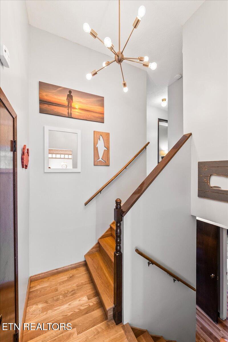 328 Brown Crest Rd, LaFollette