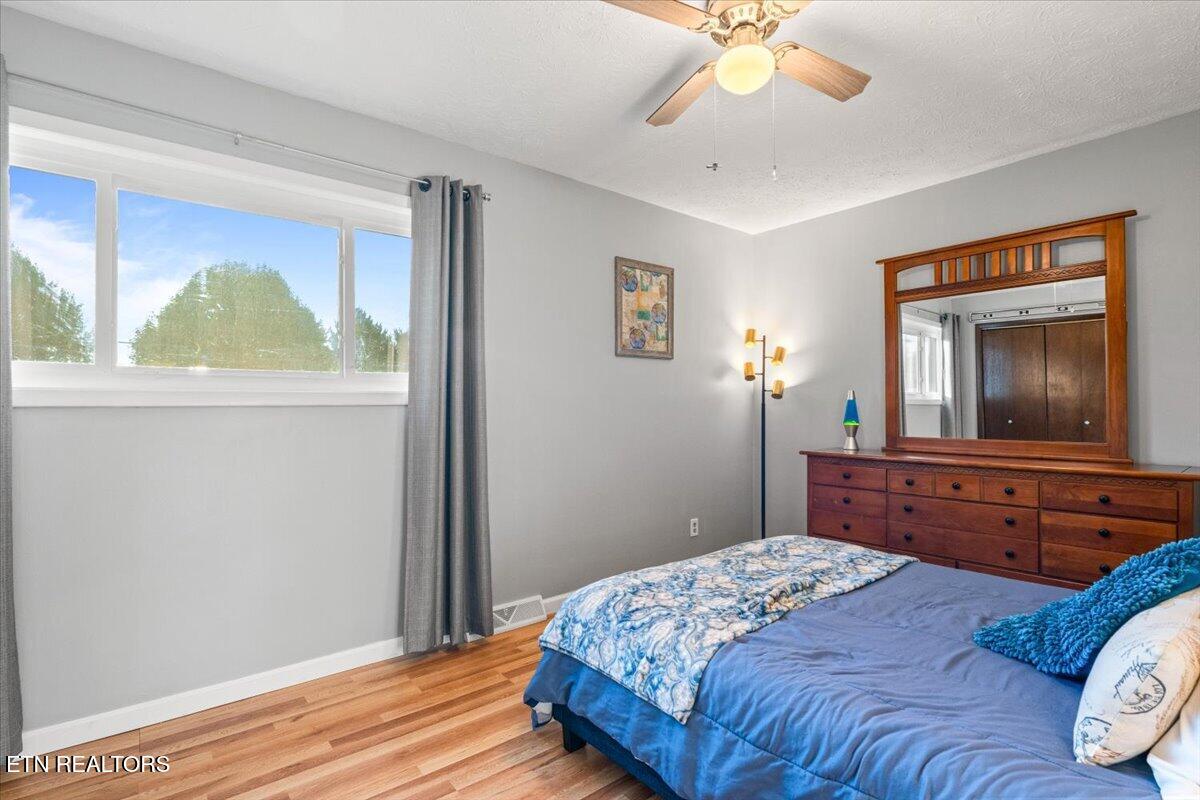 328 Brown Crest Rd, LaFollette