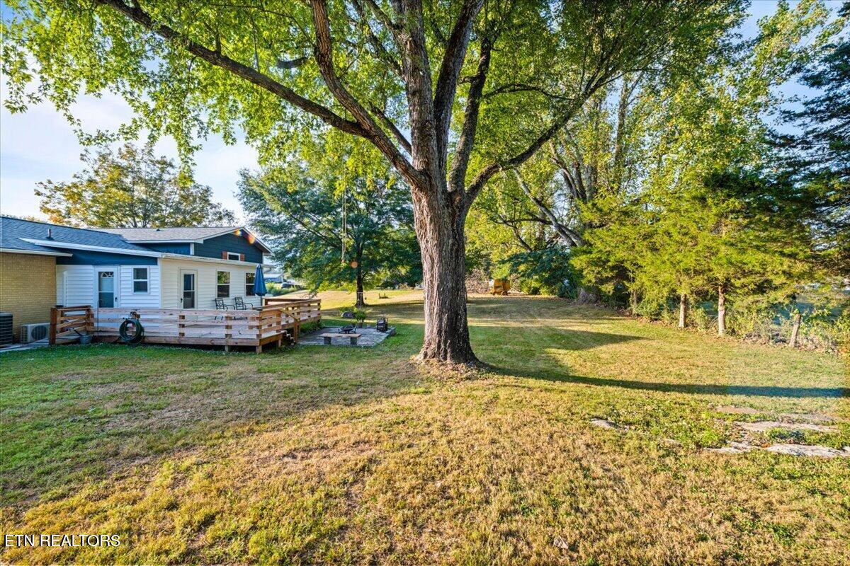328 Brown Crest Rd, LaFollette