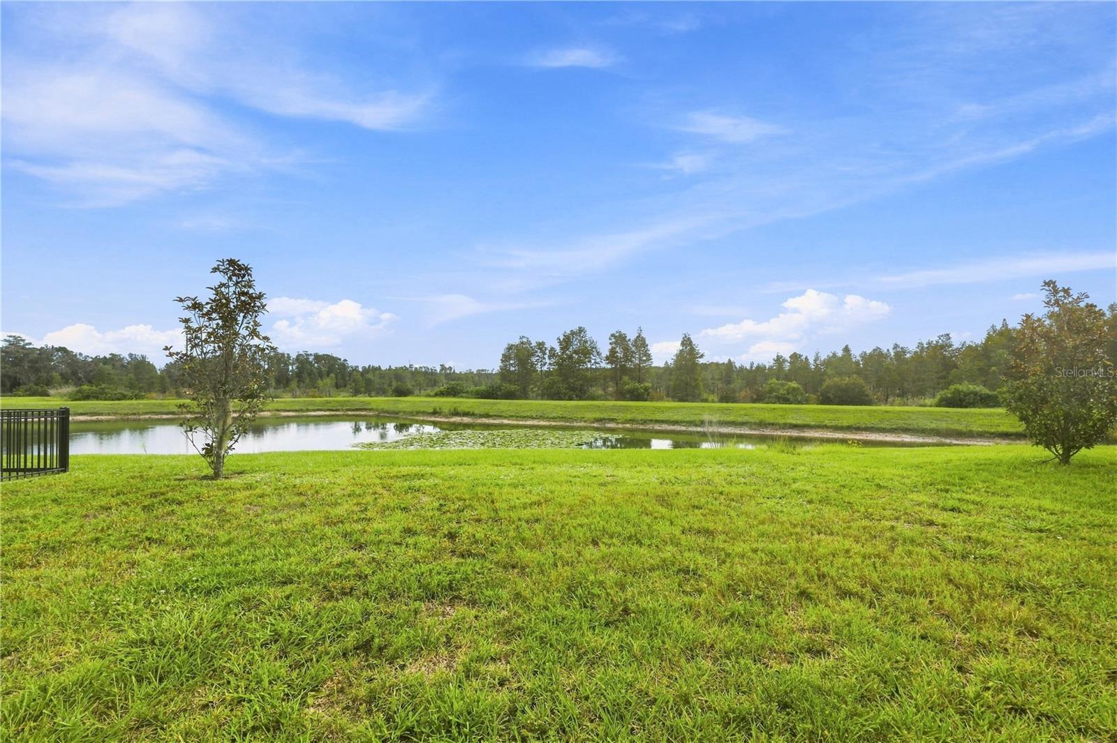 19780 BLUE POND DR