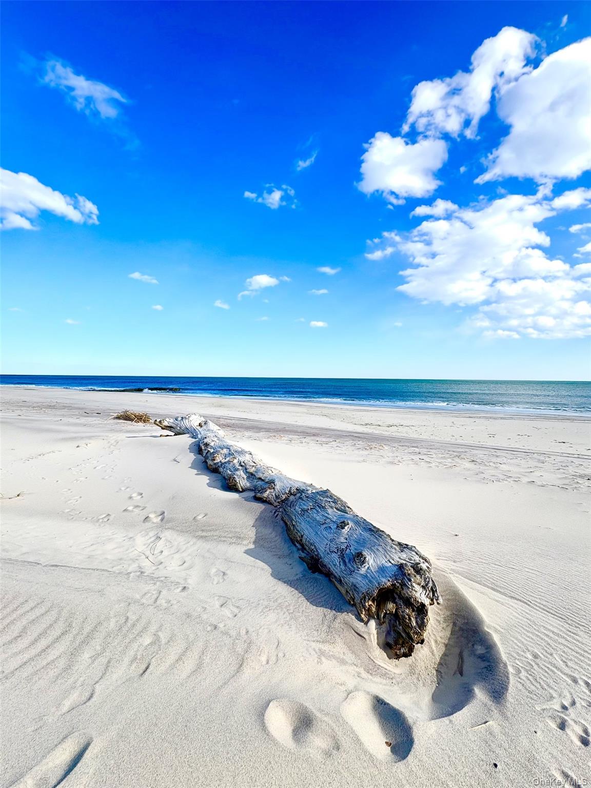 253 Dune Unit: #49