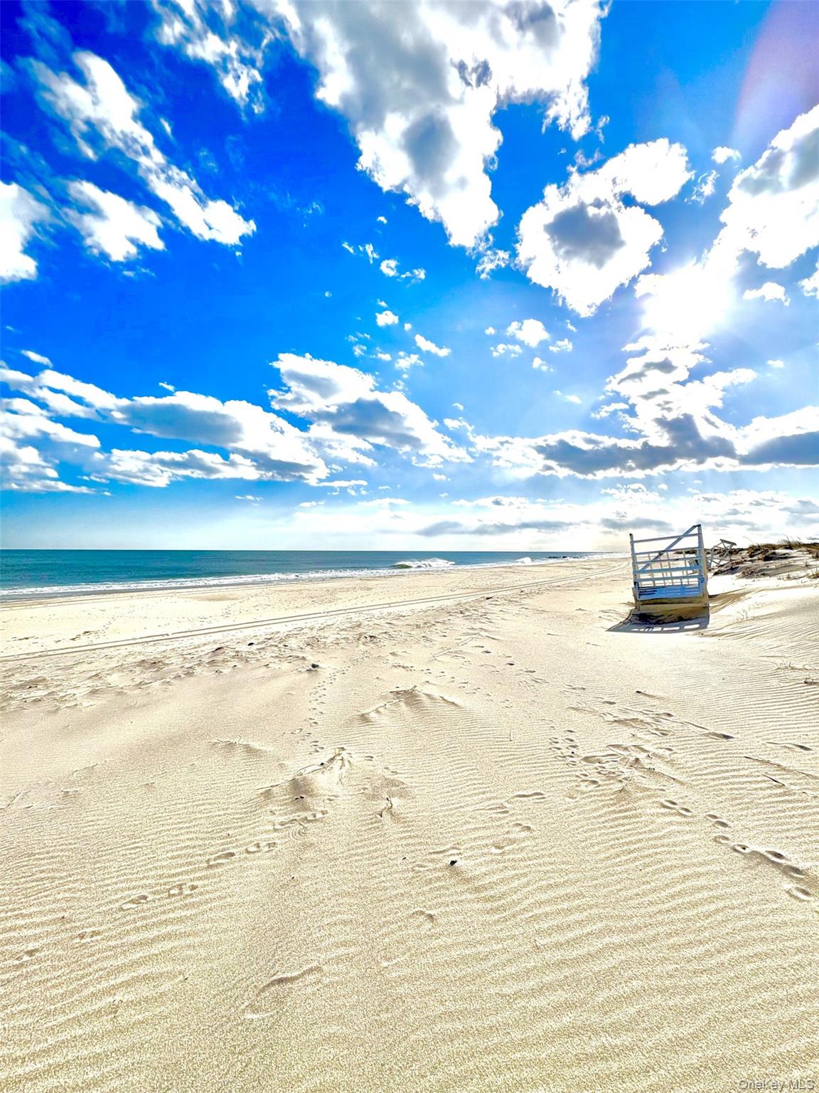 253 Dune Unit: #49