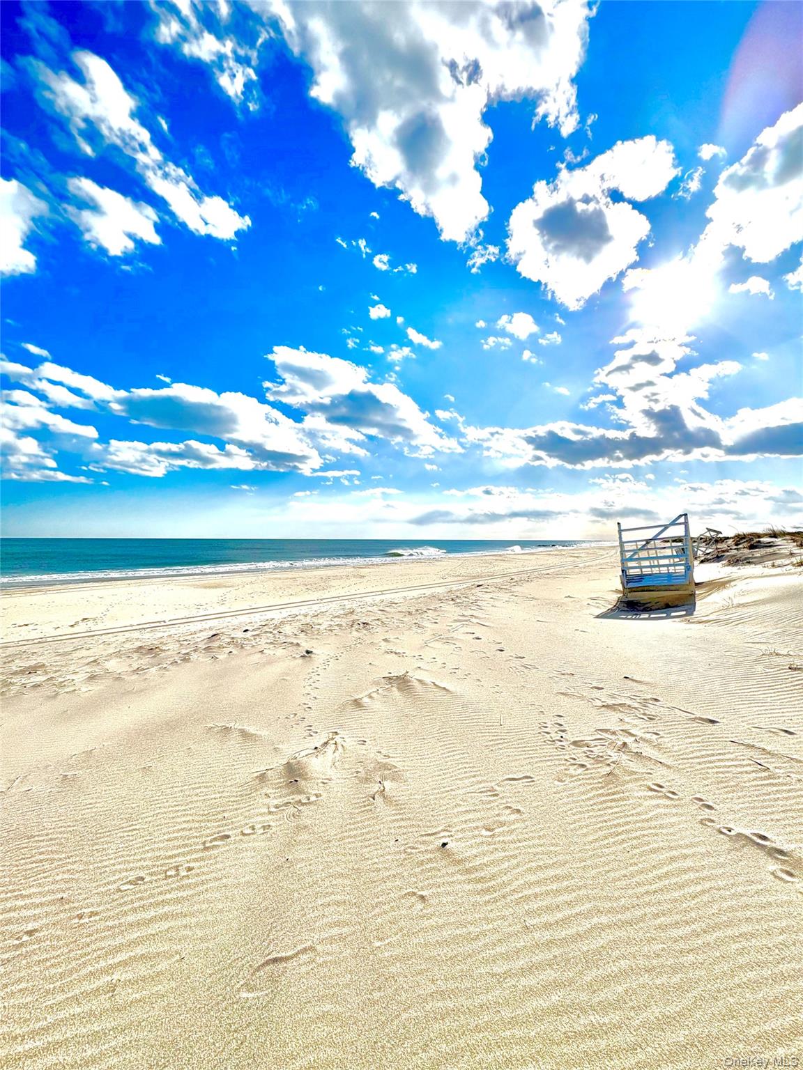 253 Dune Unit: 49