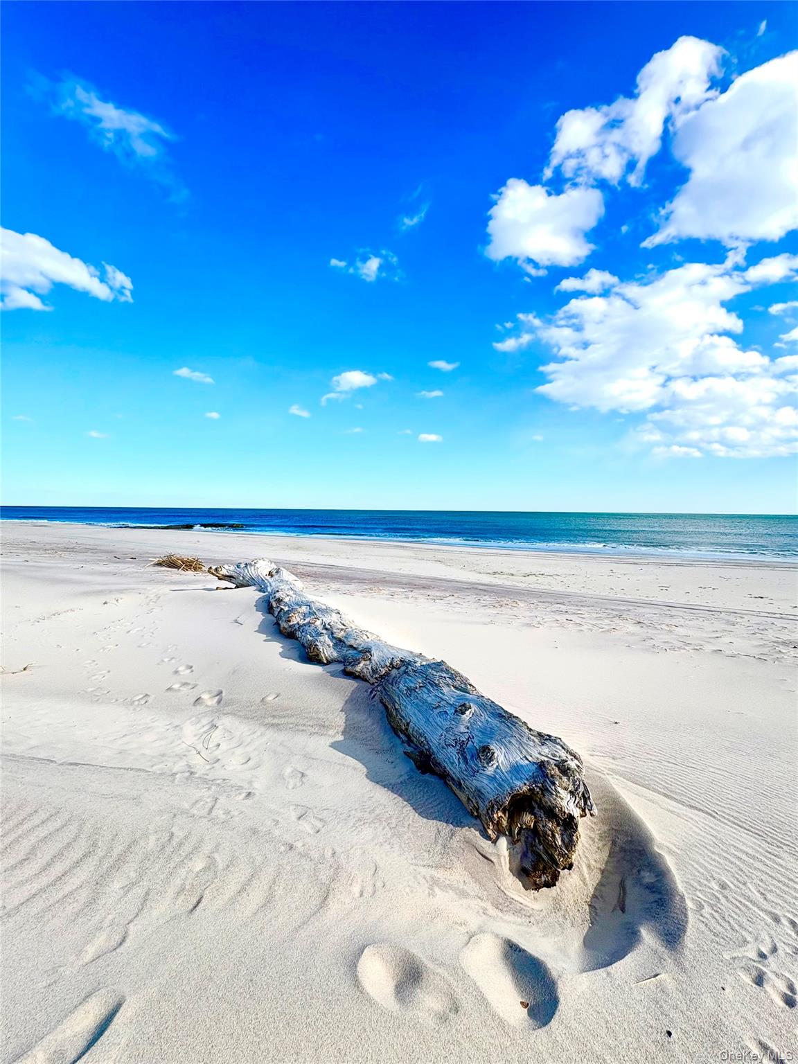 253 Dune Unit: 49