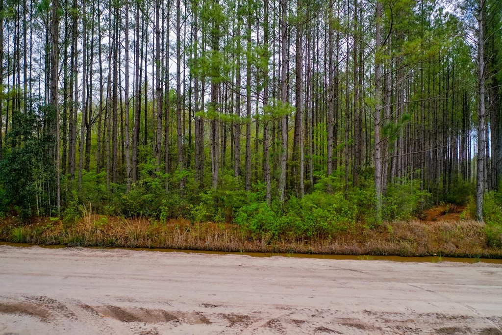 00 S Clough Bay Rd Road