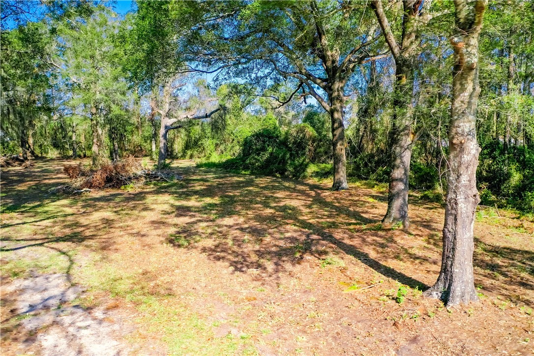 6162 Griner Road
