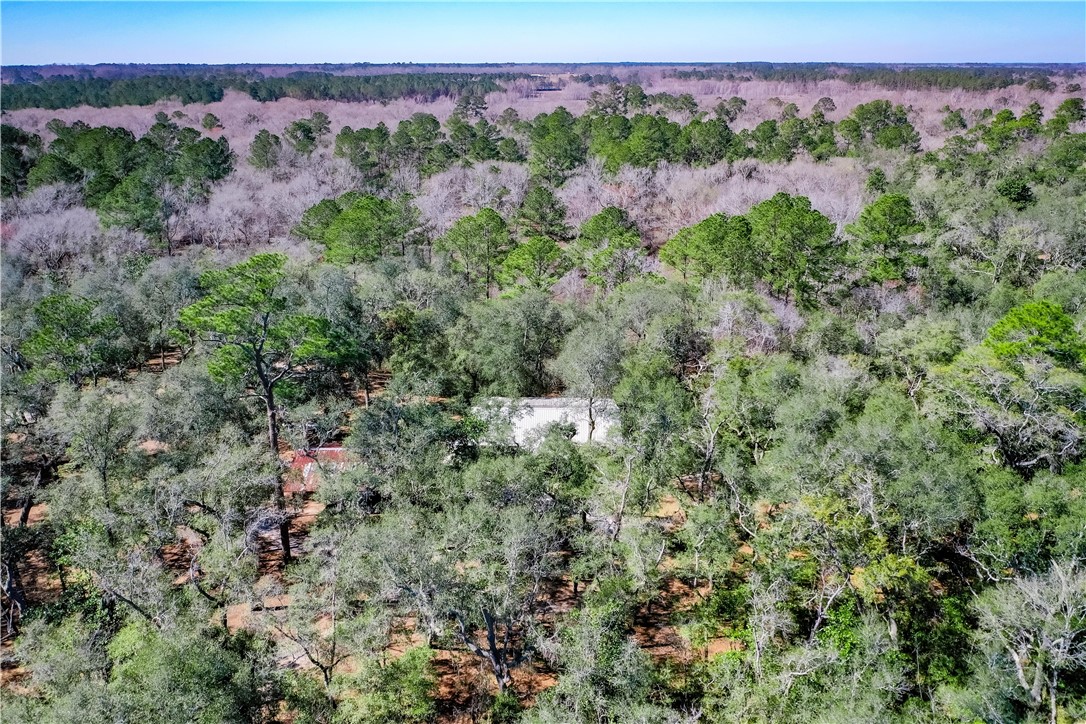 5809 Holly Drive
