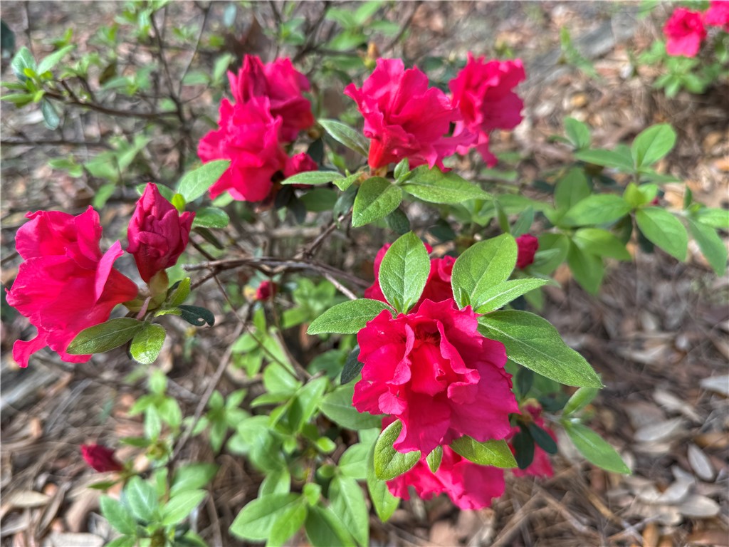 6435 Riverwoods Drive