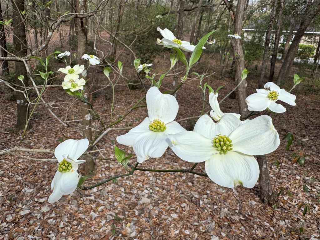 6435 Riverwoods Drive