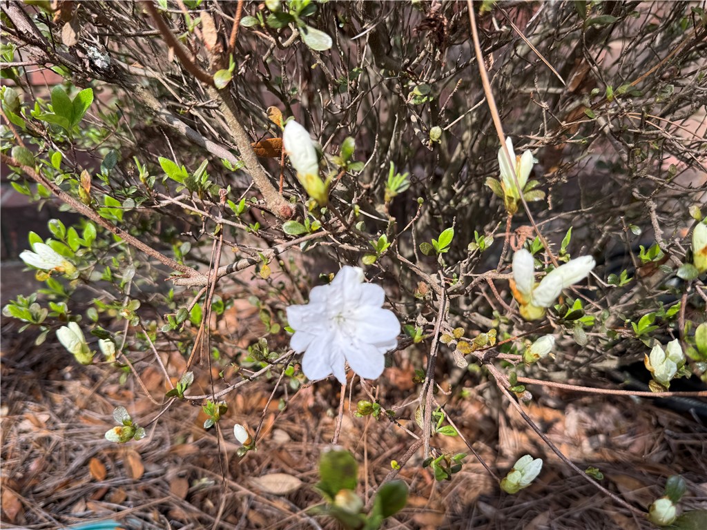 6435 Riverwoods Drive