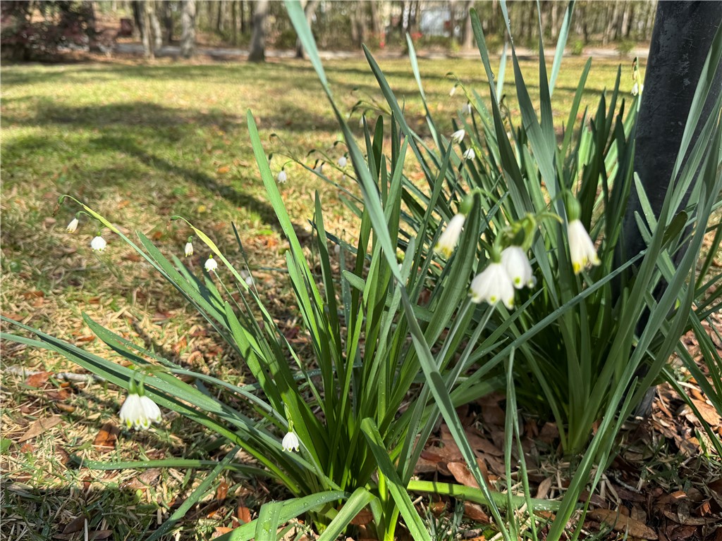 6435 Riverwoods Drive