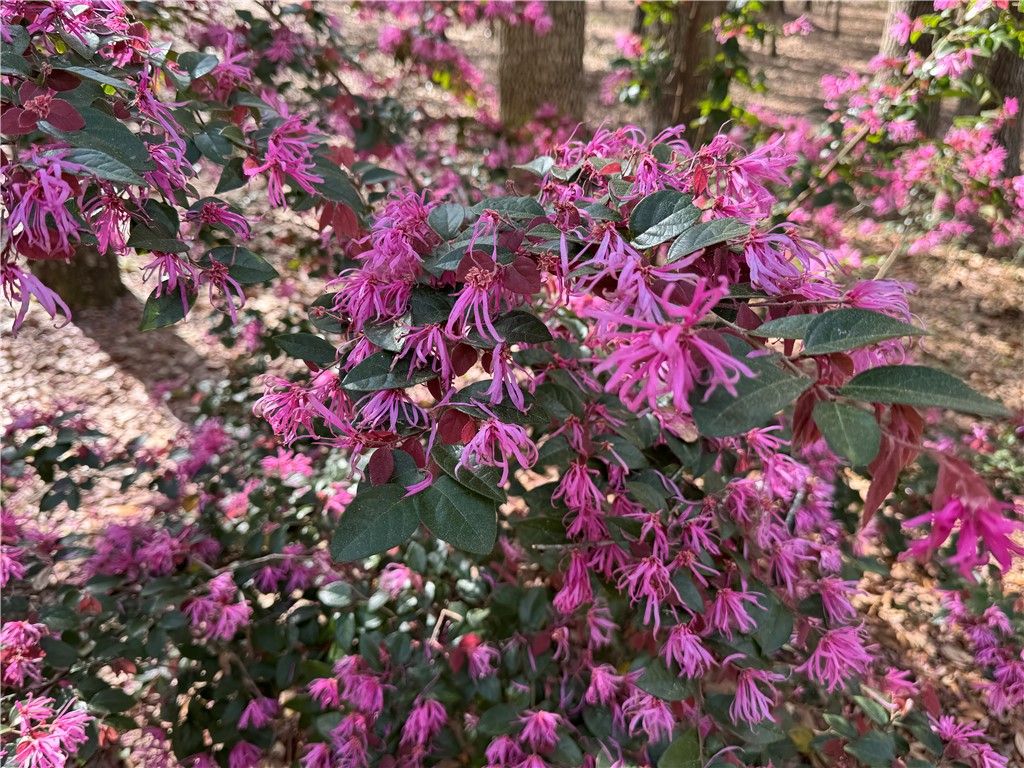 6435 Riverwoods Drive