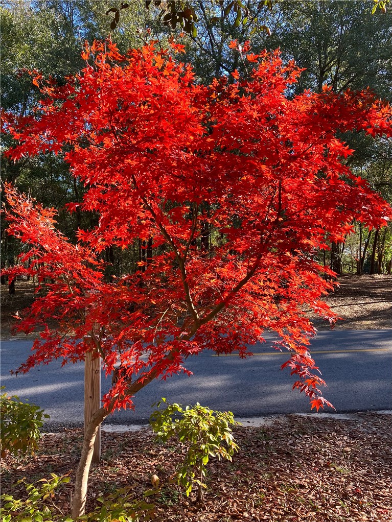 6435 Riverwoods Drive