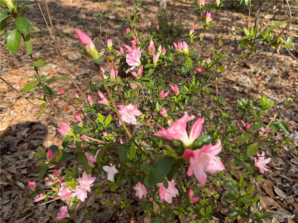 6435 Riverwoods Drive