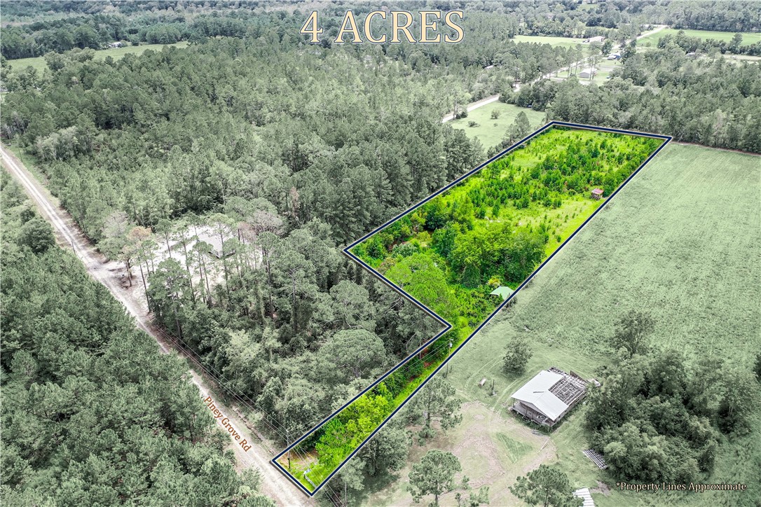 2443 Piney Grove Road