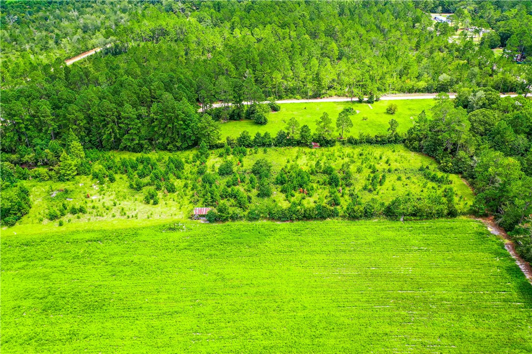 2443 Piney Grove Road