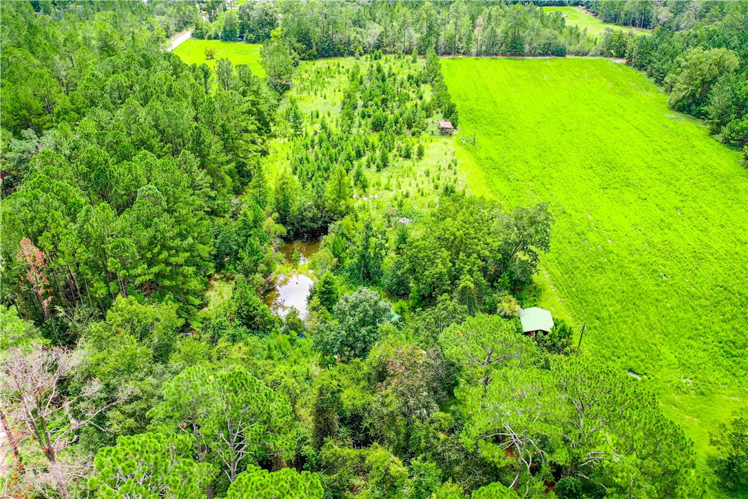 2443 Piney Grove Road