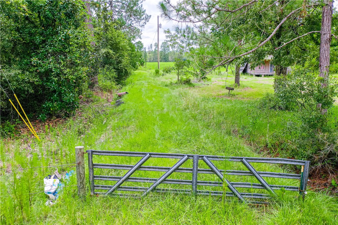 2443 Piney Grove Road