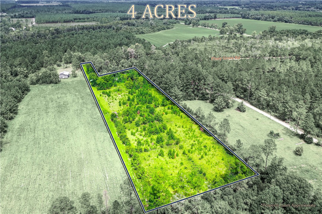 2443 Piney Grove Road