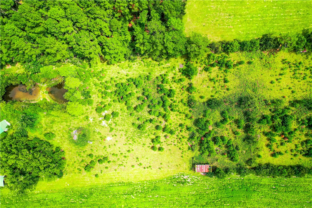 2443 Piney Grove Road