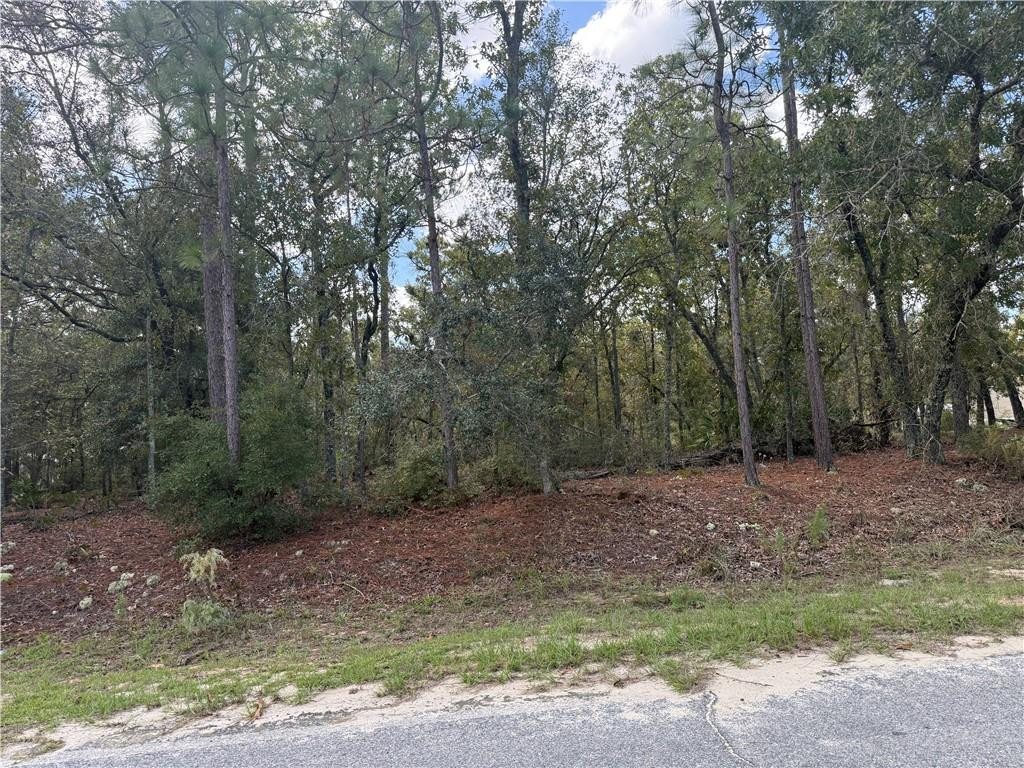 Lot 51 Ridge Loop, 51