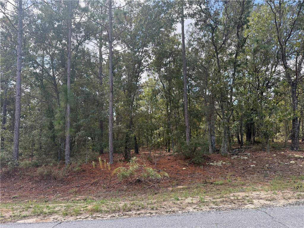 Lot 51 Ridge Loop, 51