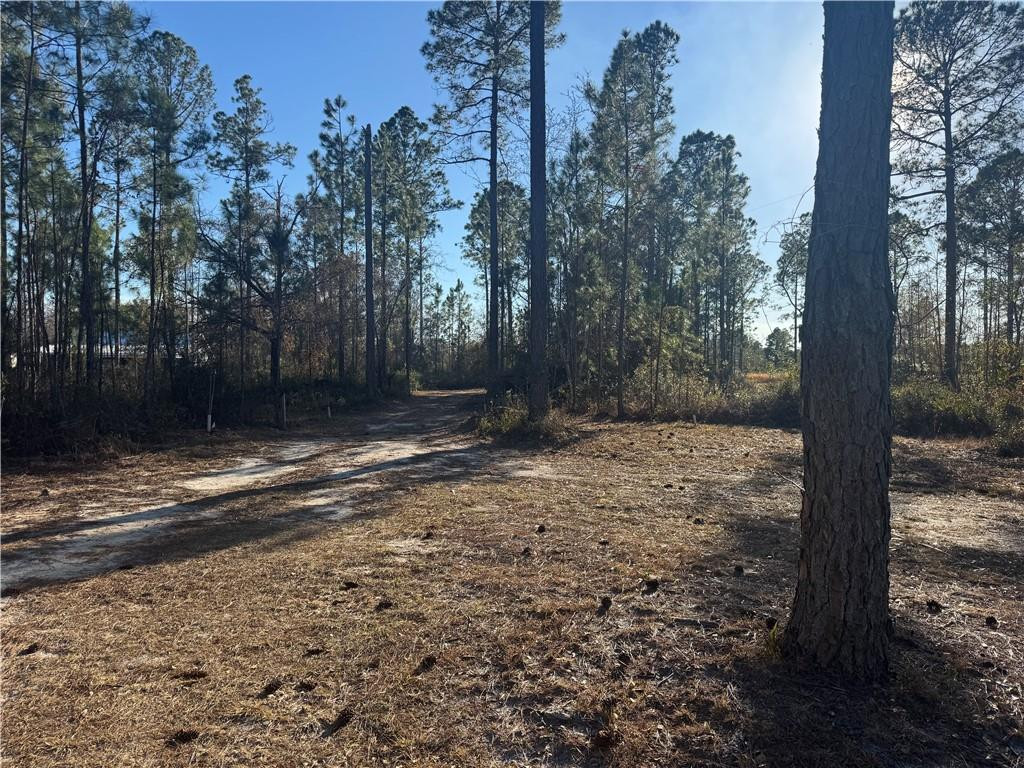 00 White Tail Way