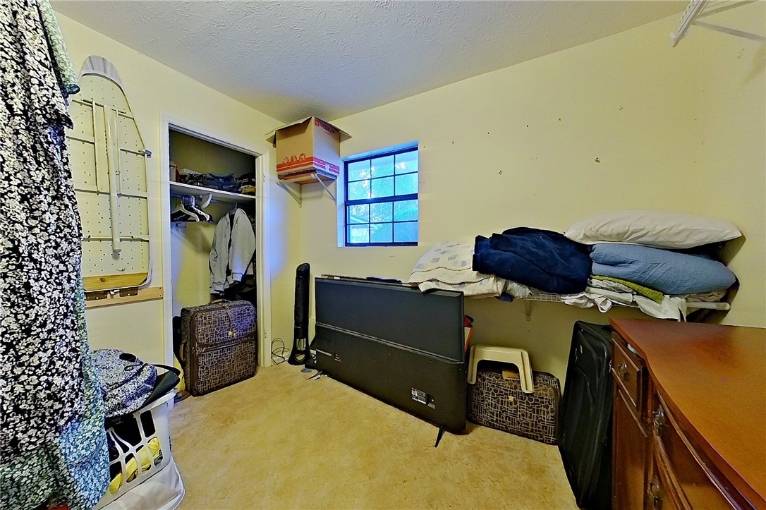 40 Palmetto Path Lane