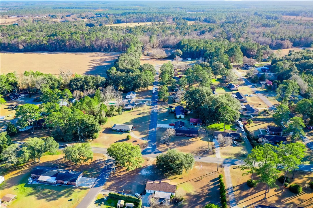 40 Palmetto Path Lane