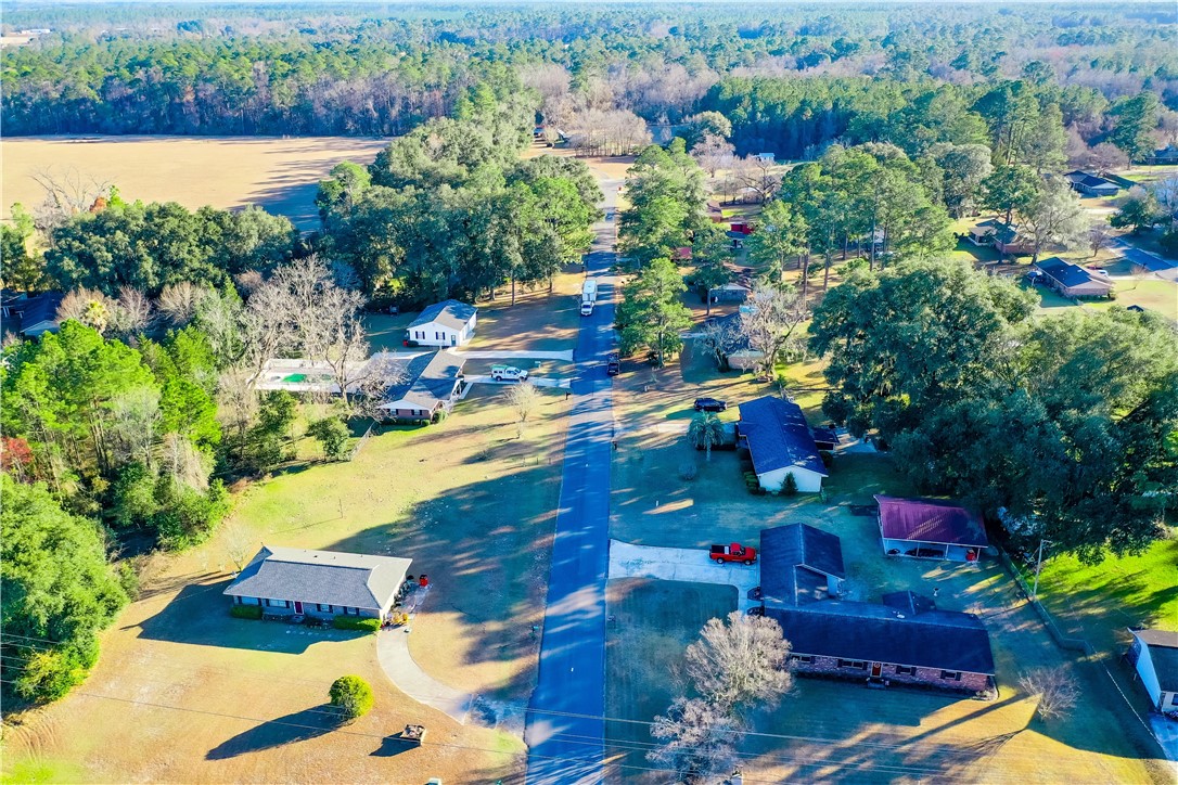 40 Palmetto Path Lane