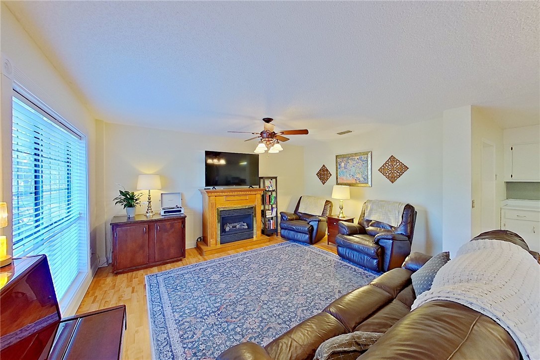 40 Palmetto Path Lane