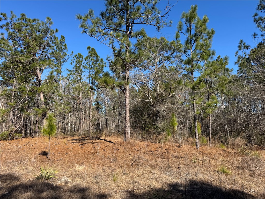 00 N Morningside Drive