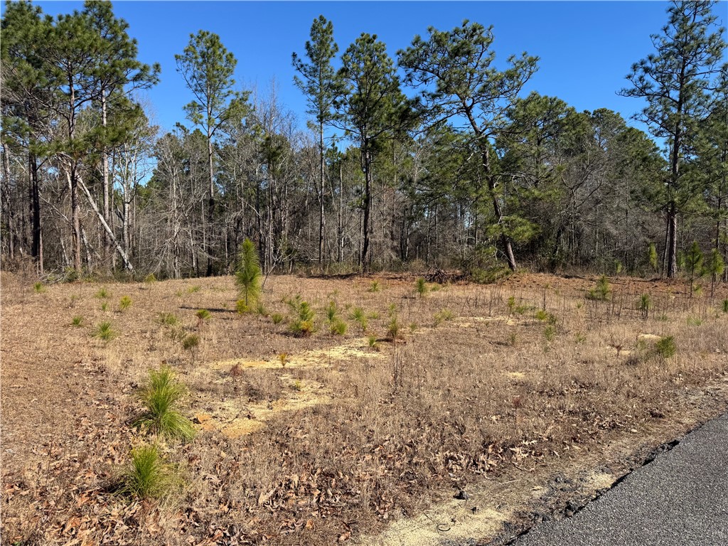 00 N Morningside Drive