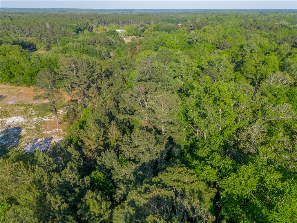 264 Williams Loop
