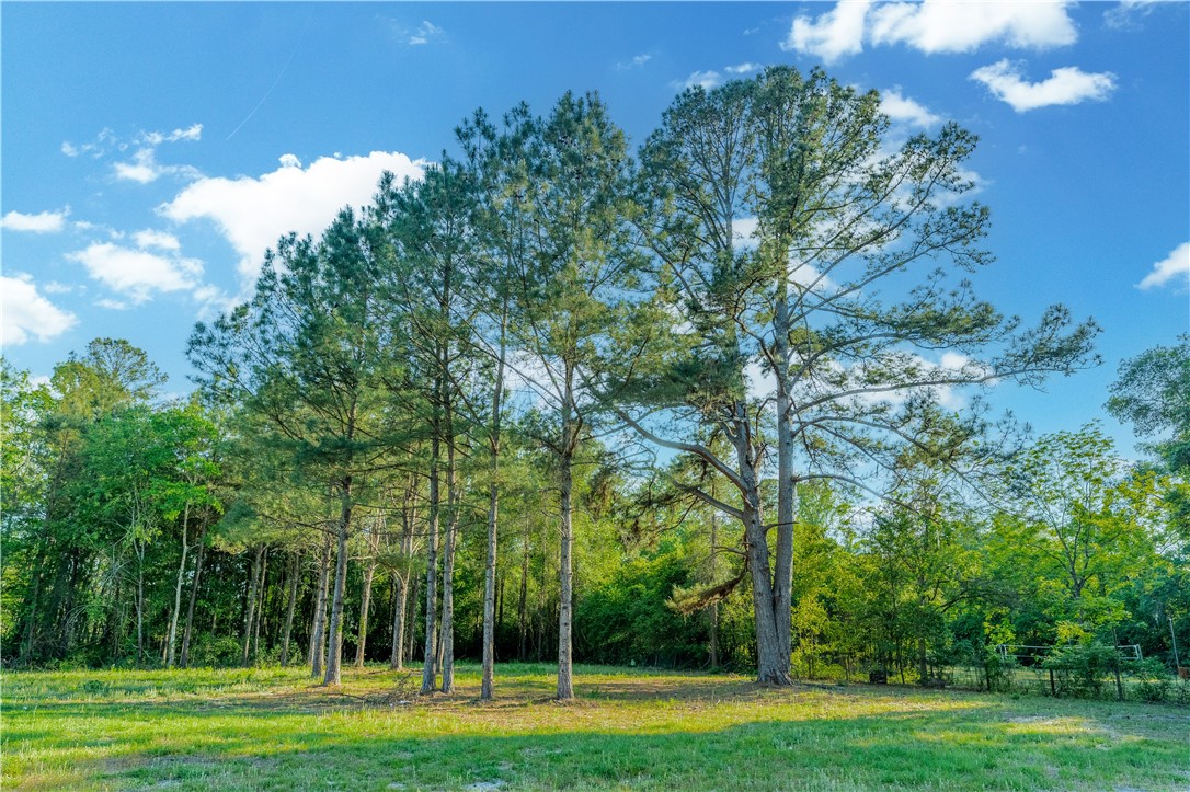 264 Williams Loop