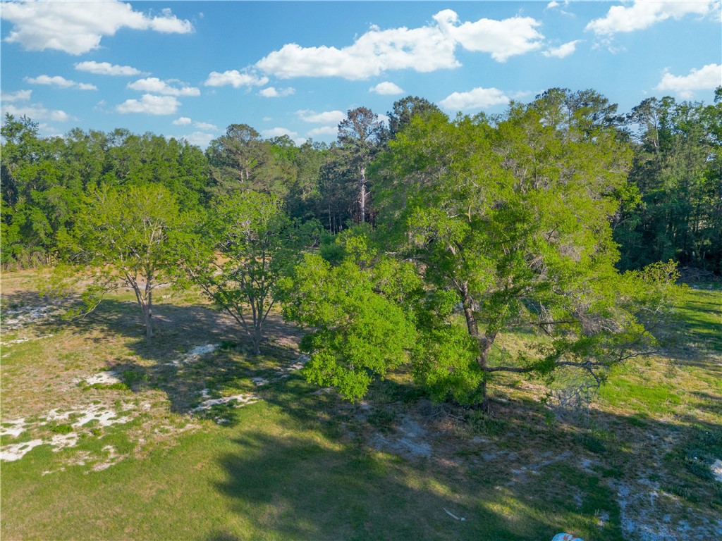 264 Williams Loop