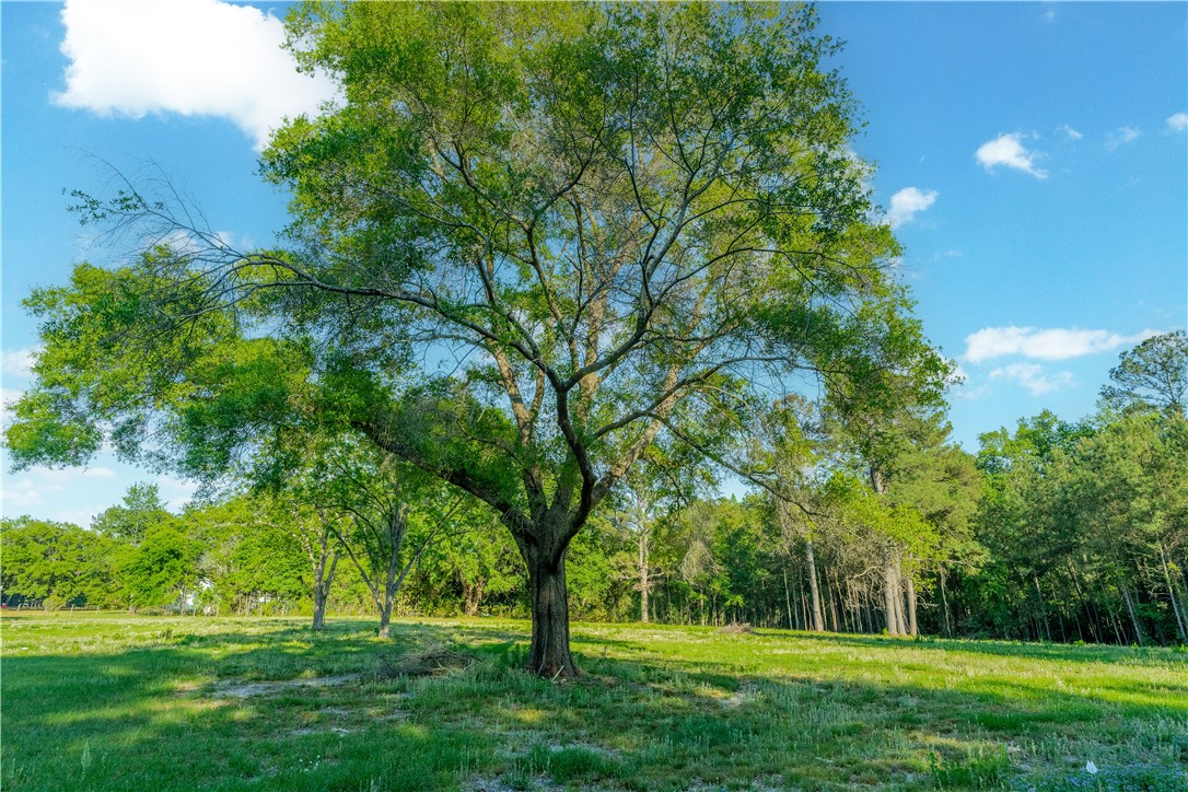 264 Williams Loop