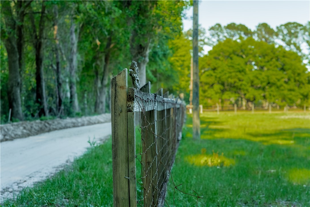 264 Williams Loop