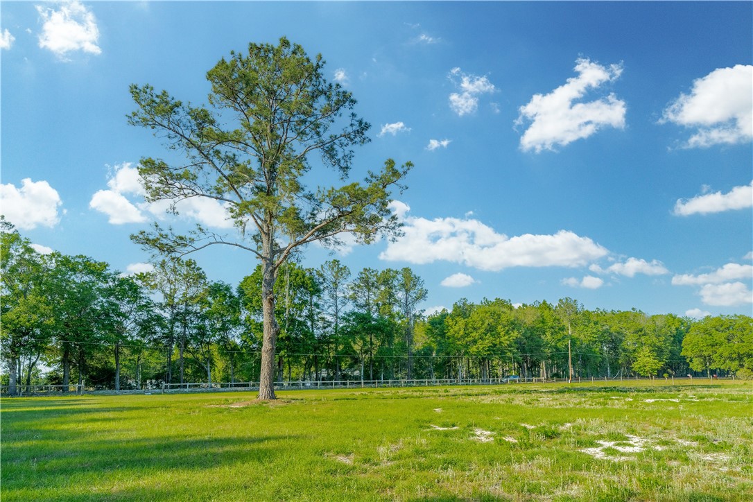 264 Williams Loop