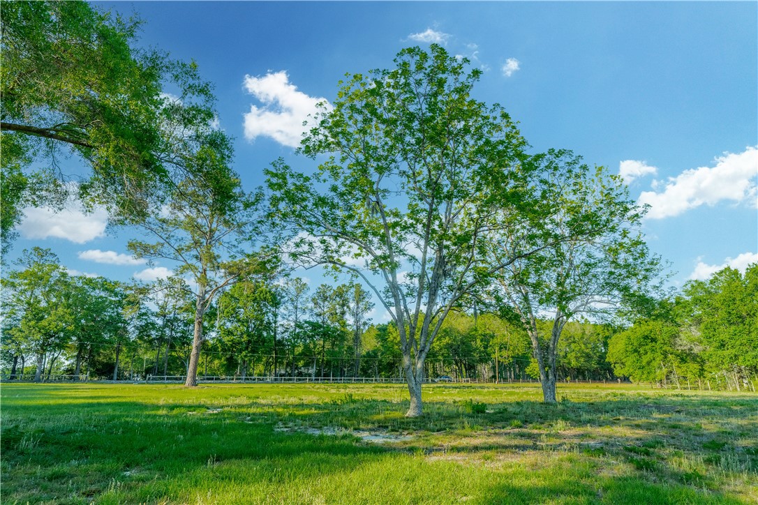 264 Williams Loop