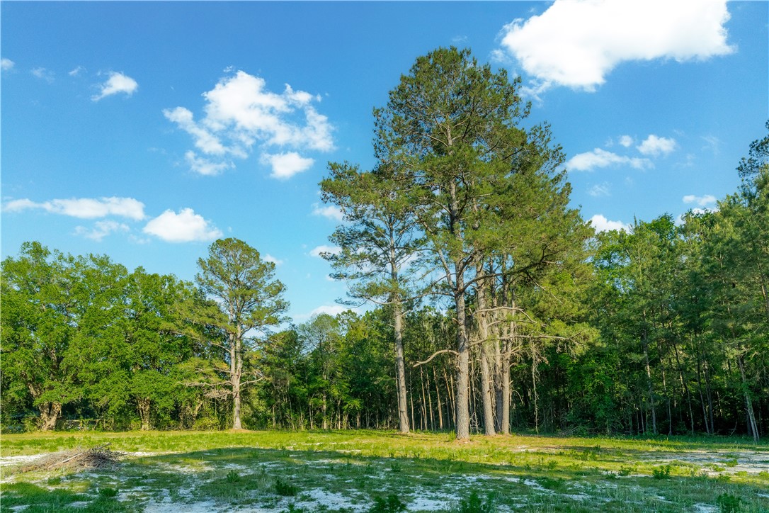 264 Williams Loop