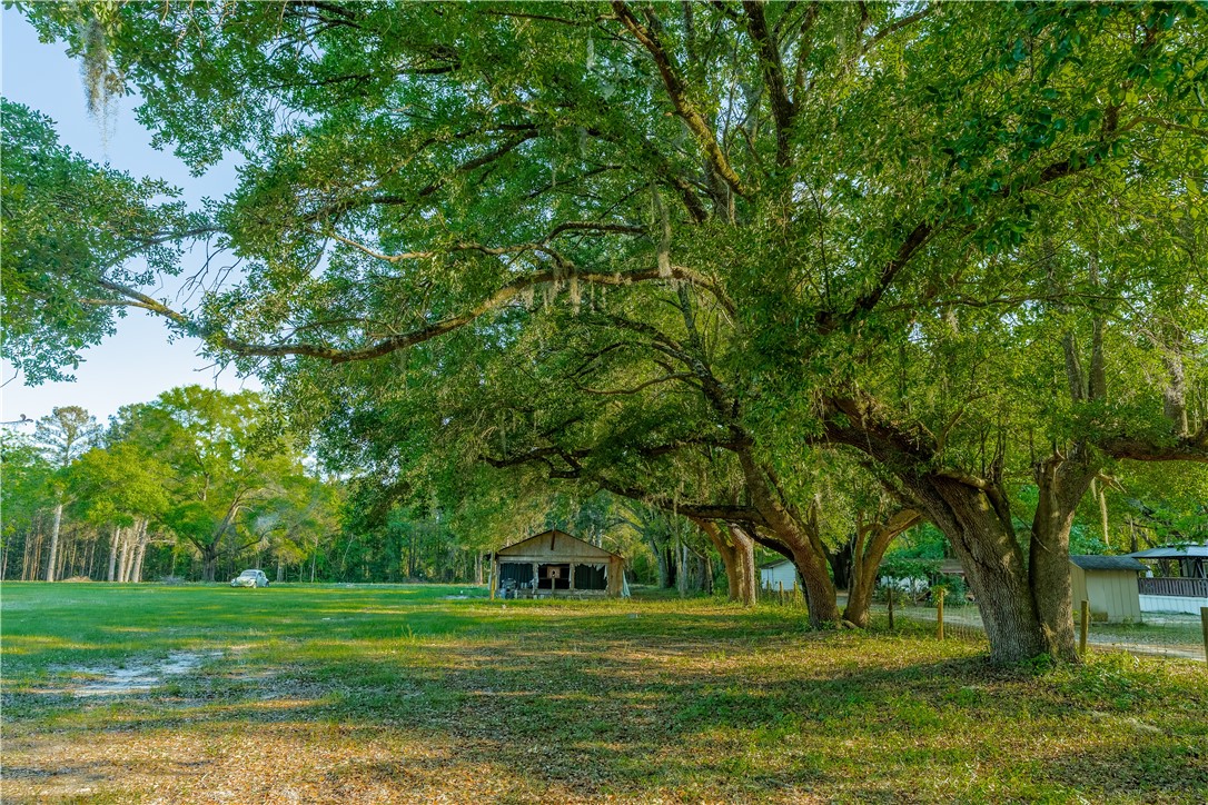 264 Williams Loop