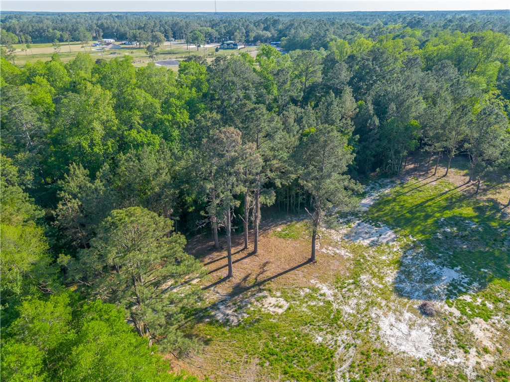 264 Williams Loop
