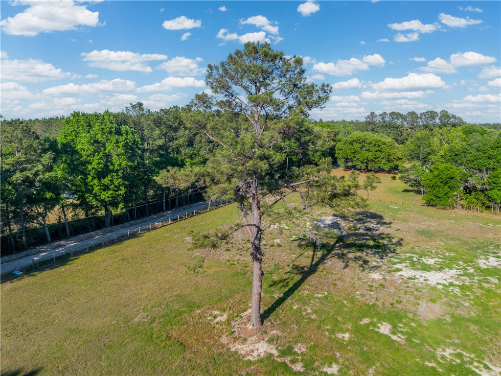 264 Williams Loop