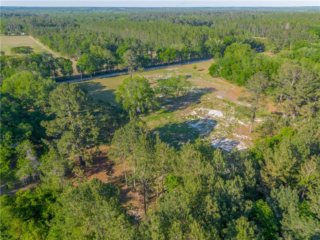 264 Williams Loop