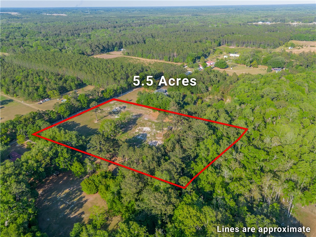 264 Williams Loop